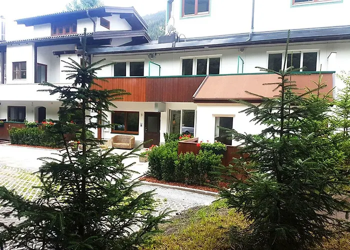 Comfort Bruckner باد جاستاين