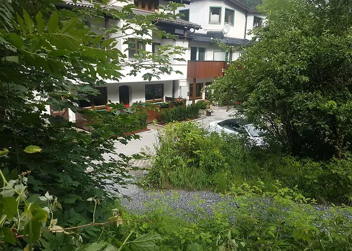 Comfort Bruckner 2* باد جاستاين